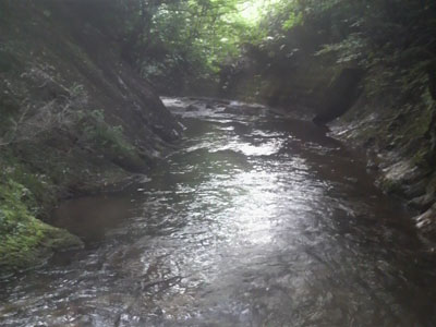 f0082402_9193930.jpg