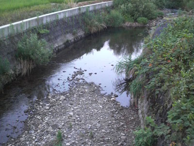 f0082402_9233729.jpg