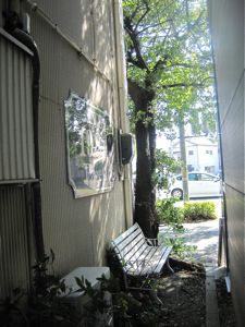 避暑_a0077203_16442776.jpg