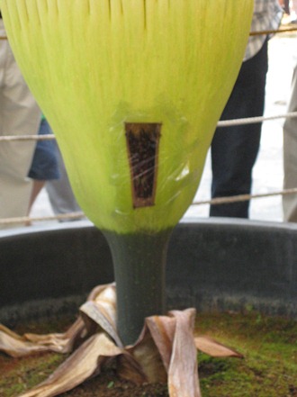 e0048503_9214973.jpg