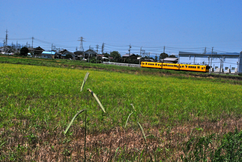c0030705_1113359.jpg