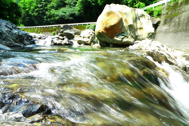a0097006_22184125.jpg