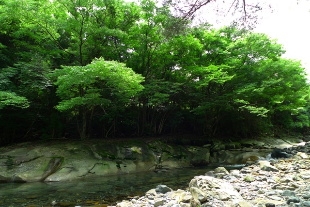 a0097006_22195789.jpg