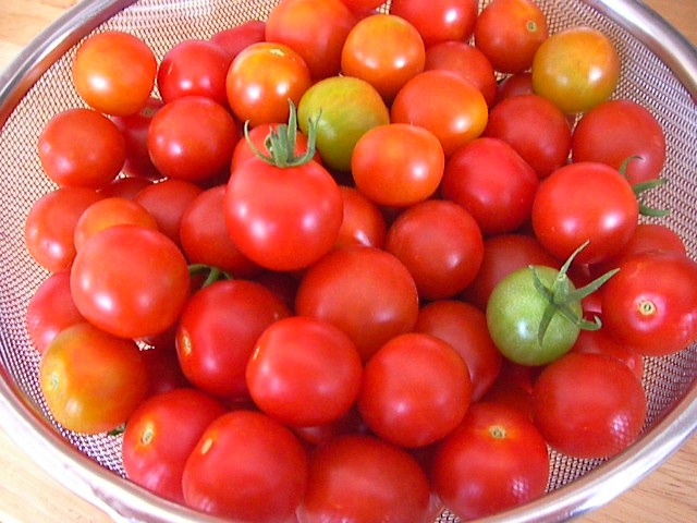 f0038407_1610512.jpg