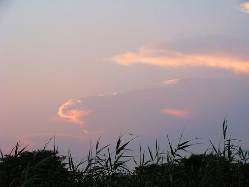 e0123808_2481954.jpg