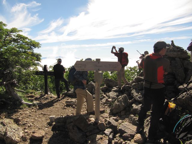d0159609_10442966.jpg