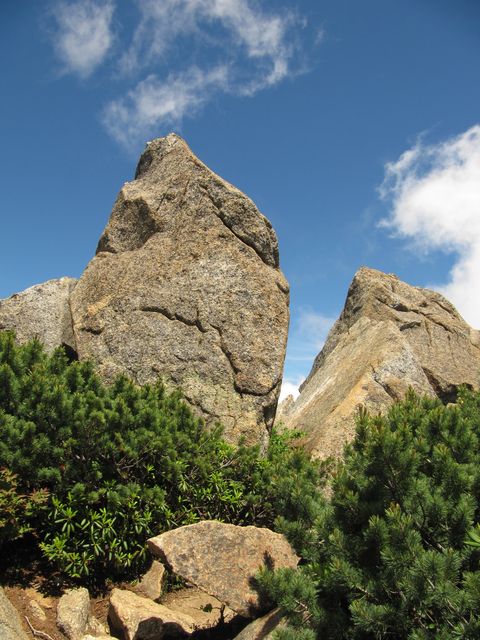 d0159609_1059233.jpg