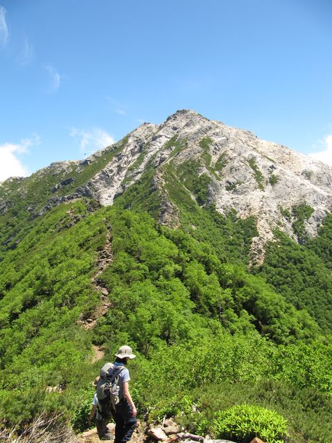 d0159609_110849.jpg