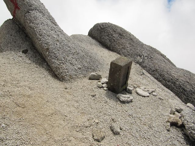 d0159609_119499.jpg