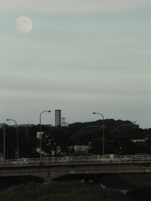 e0141909_2331438.jpg
