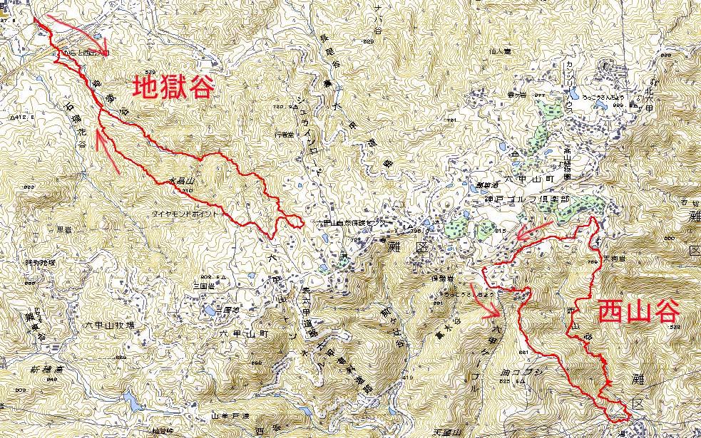 10.07.25(日) 沢沿いハイキング_a0062810_1329922.jpg