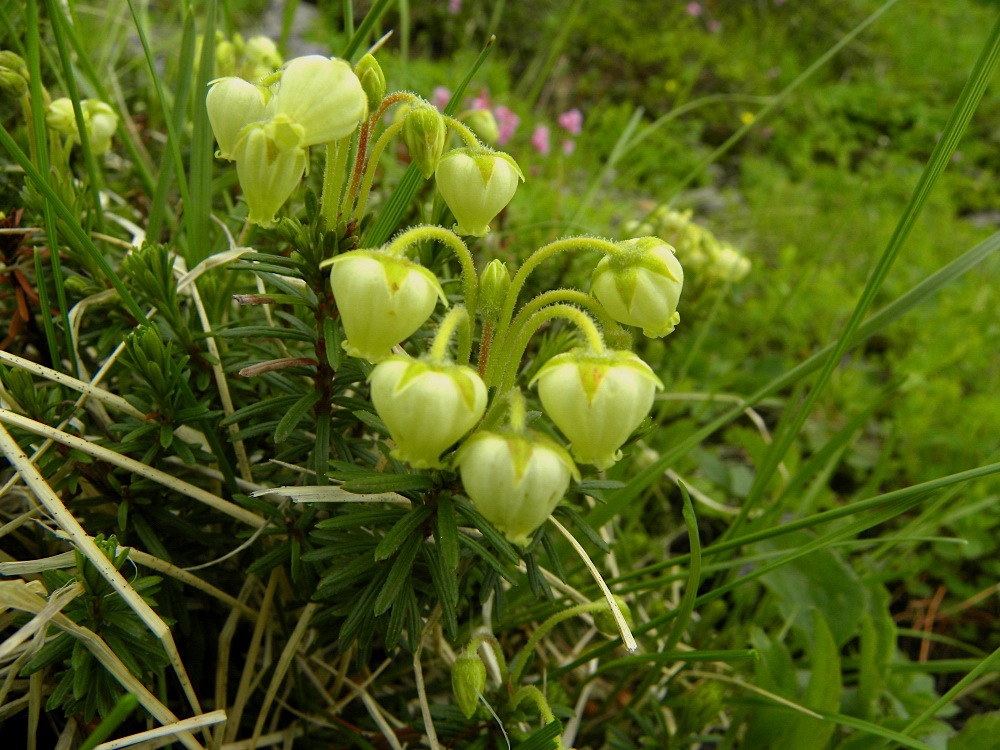 c0078410_8144970.jpg