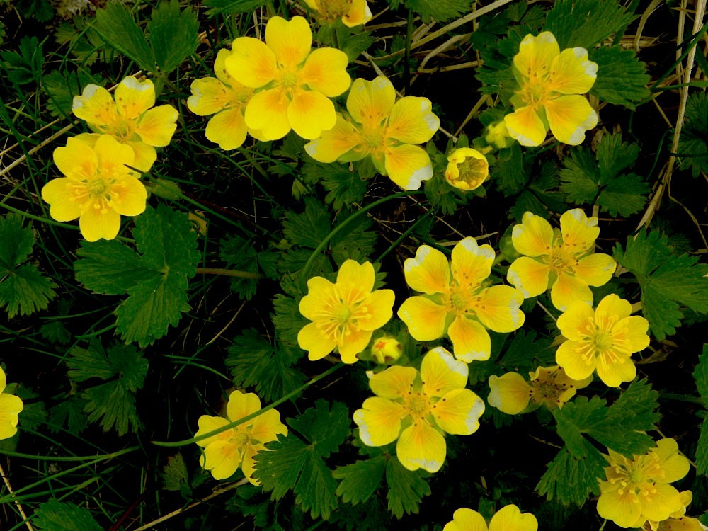 c0078410_8201820.jpg