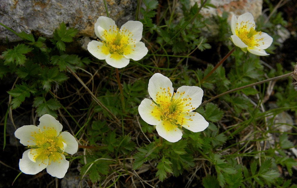 c0078410_821490.jpg