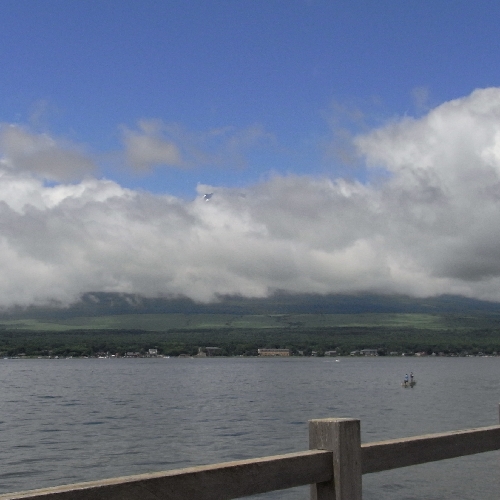 f0006510_23161569.jpg