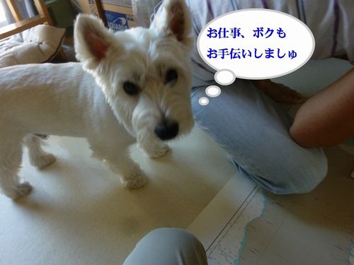 a0161111_0511496.jpg