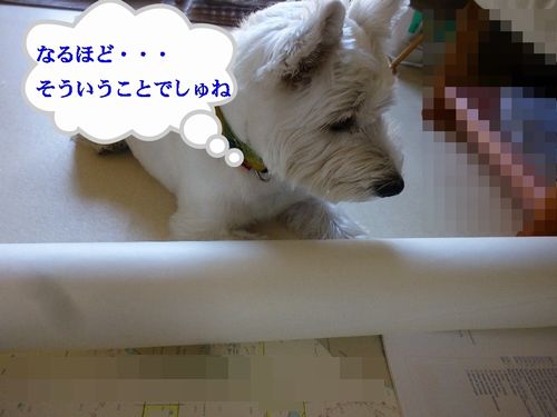 a0161111_0545475.jpg