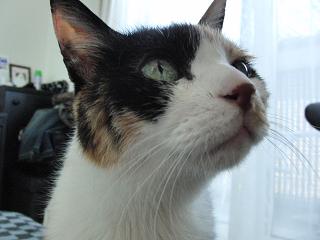 c0201113_17381392.jpg