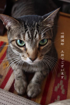空がイカル 夏がホエル_e0156015_1358312.jpg