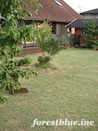 e0100618_1834448.jpg