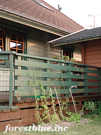 e0100618_18404772.jpg