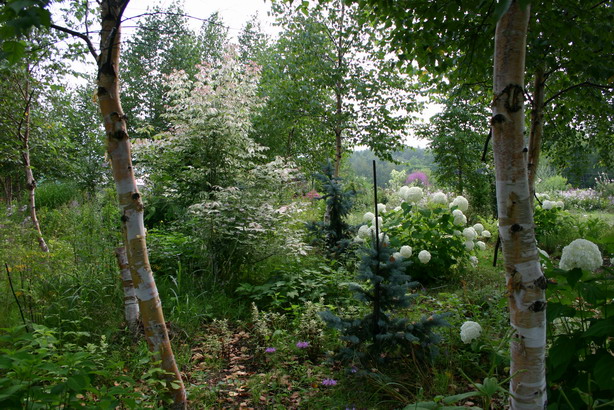 d0143719_8483825.jpg