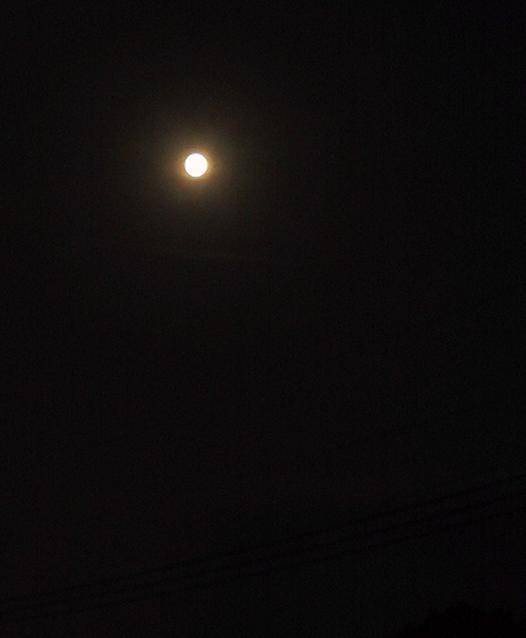 c0097620_21505982.jpg