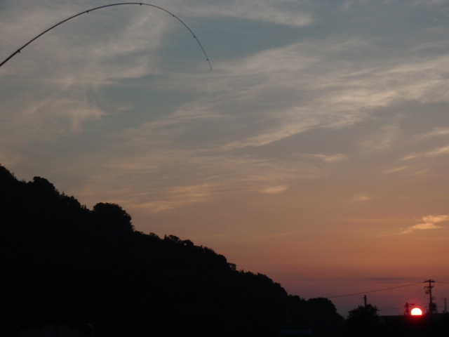アジ_e0136620_5522740.jpg