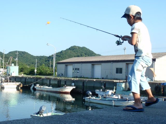 アジ_e0136620_603758.jpg