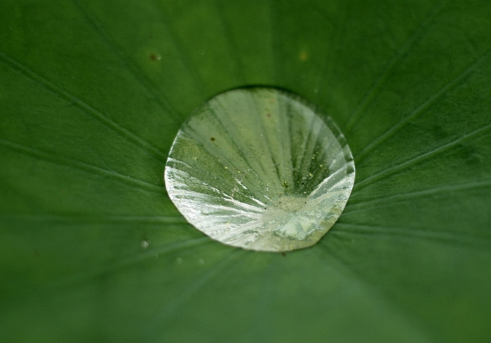 a0170321_22244338.jpg