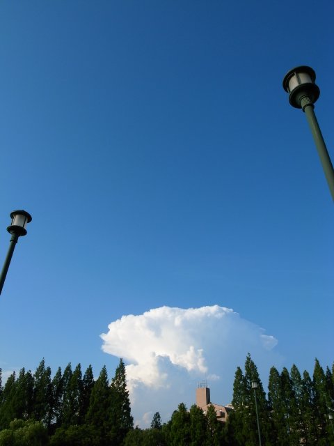 夏の雲、天神祭・源八橋~大阪市北区~大阪市都島区_f0209122_11534128.jpg