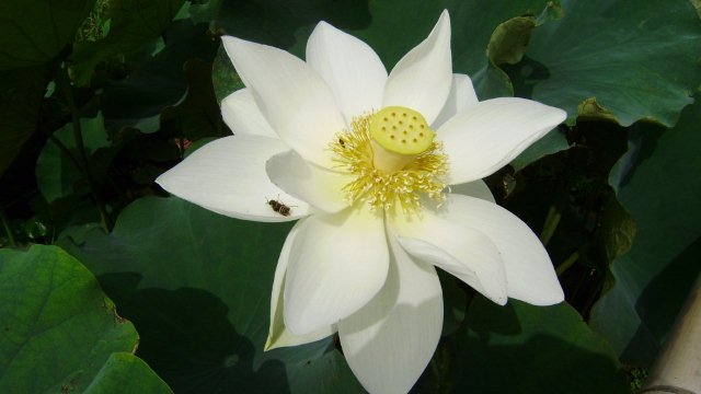 a0166324_23274460.jpg