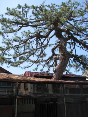 b0147224_19485527.jpg