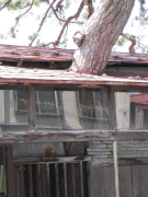 b0147224_22235428.jpg