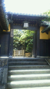 d0180029_5125622.jpg