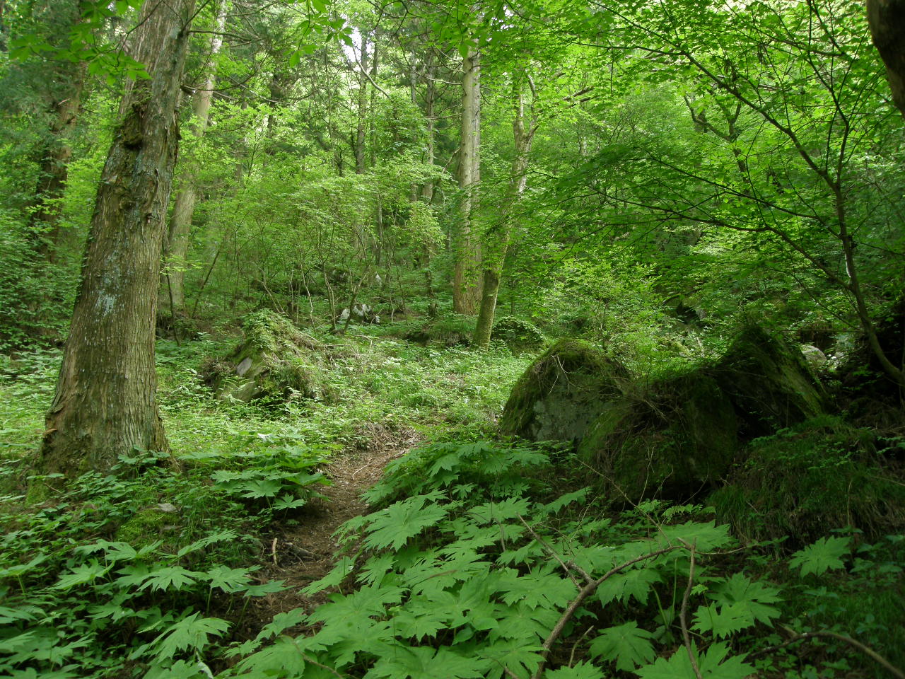 c0141933_1864271.jpg