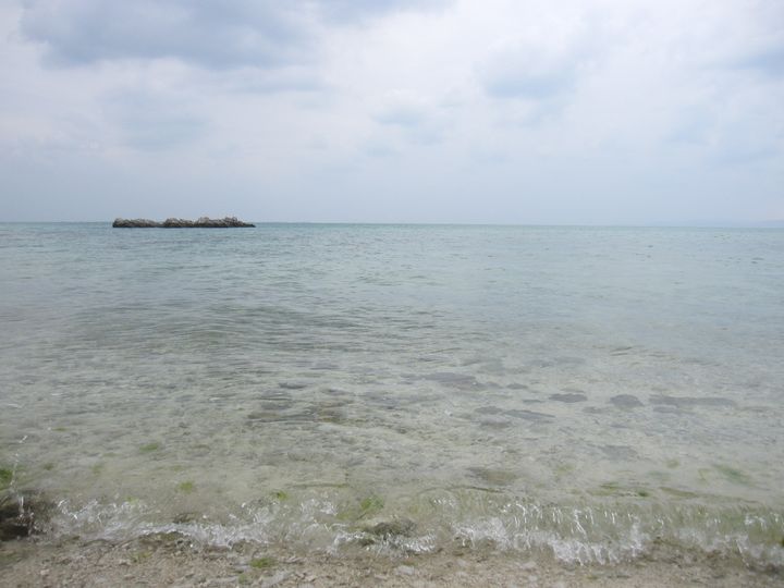 d0088735_15435650.jpg