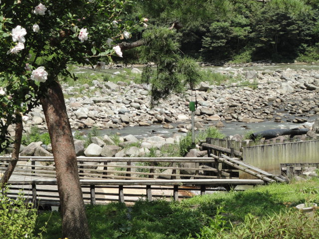 a0116439_1582499.jpg