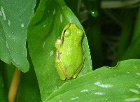 e0172950_7453412.jpg
