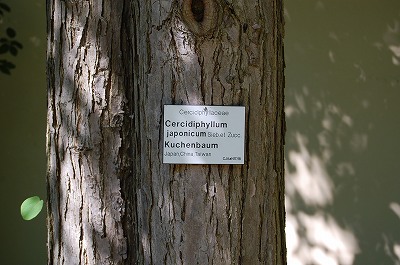 Botanischer Garten 2_e0134052_58599.jpg