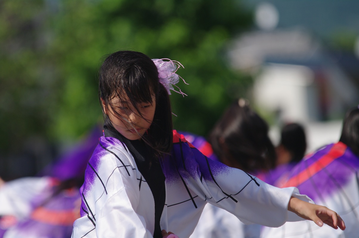 銭形よさこい２０１０その２２（京極発幸舞連その１）_a0009554_23165935.jpg