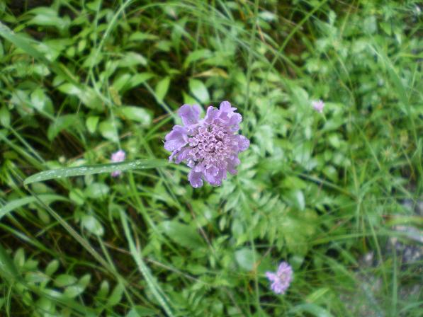 b0175255_17472469.jpg