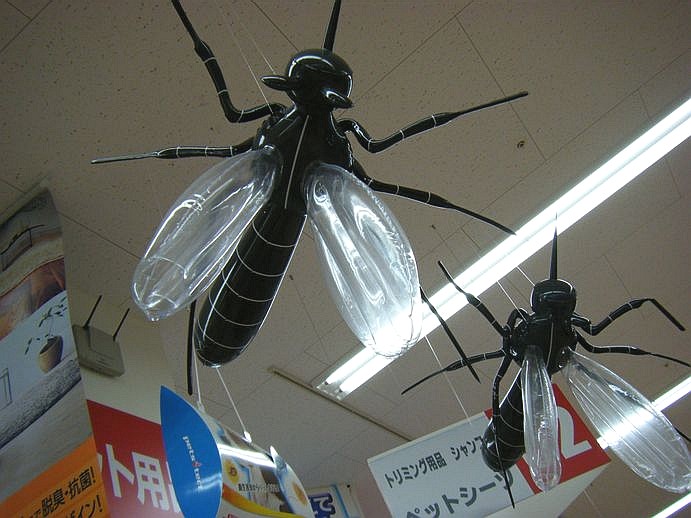 e0129656_22091.jpg