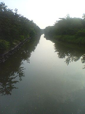 a0096557_941282.jpg