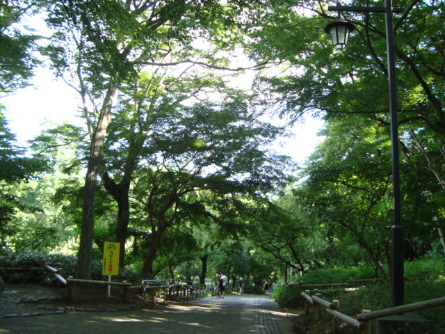 吉祥寺「井の頭自然文化園 分園」に行く。 ①_f0232060_14422645.jpg