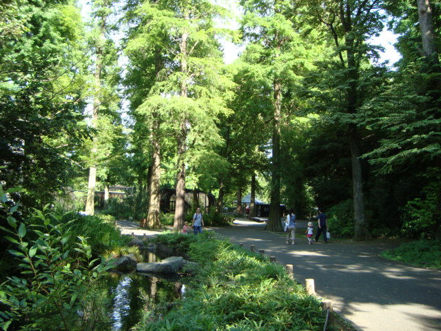吉祥寺「井の頭自然文化園 分園」に行く。 ①_f0232060_14451276.jpg