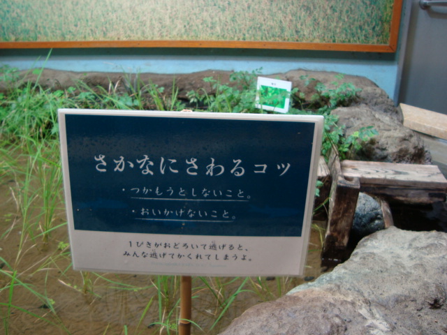 吉祥寺「井の頭自然文化園 分園」に行く。 ①_f0232060_14475044.jpg