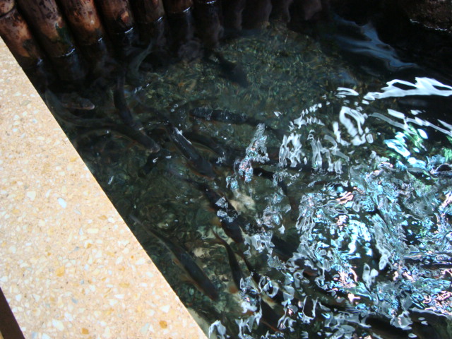 吉祥寺「井の頭自然文化園 分園」に行く。 ①_f0232060_1449854.jpg