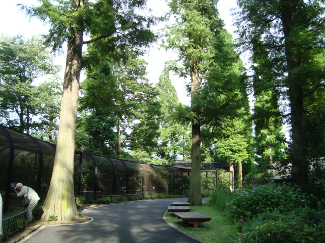 吉祥寺「井の頭自然文化園 分園」へ行く。 ②_f0232060_15232394.jpg