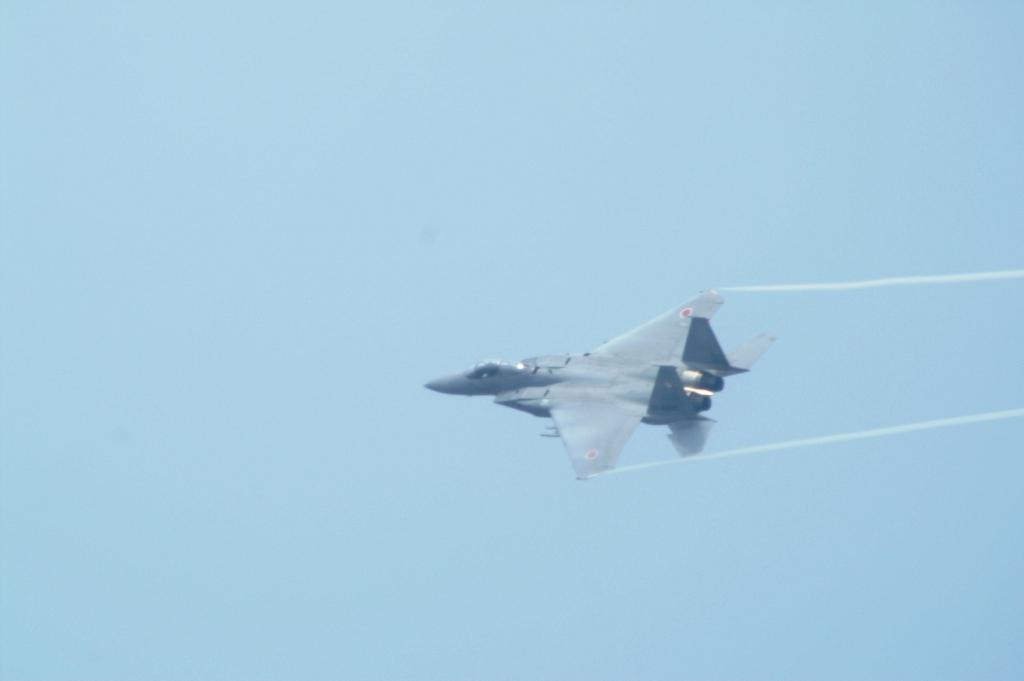 f0139466_21371315.jpg